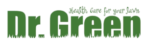 Dr.-Green-Transparent-Logo-300x95-green (1)